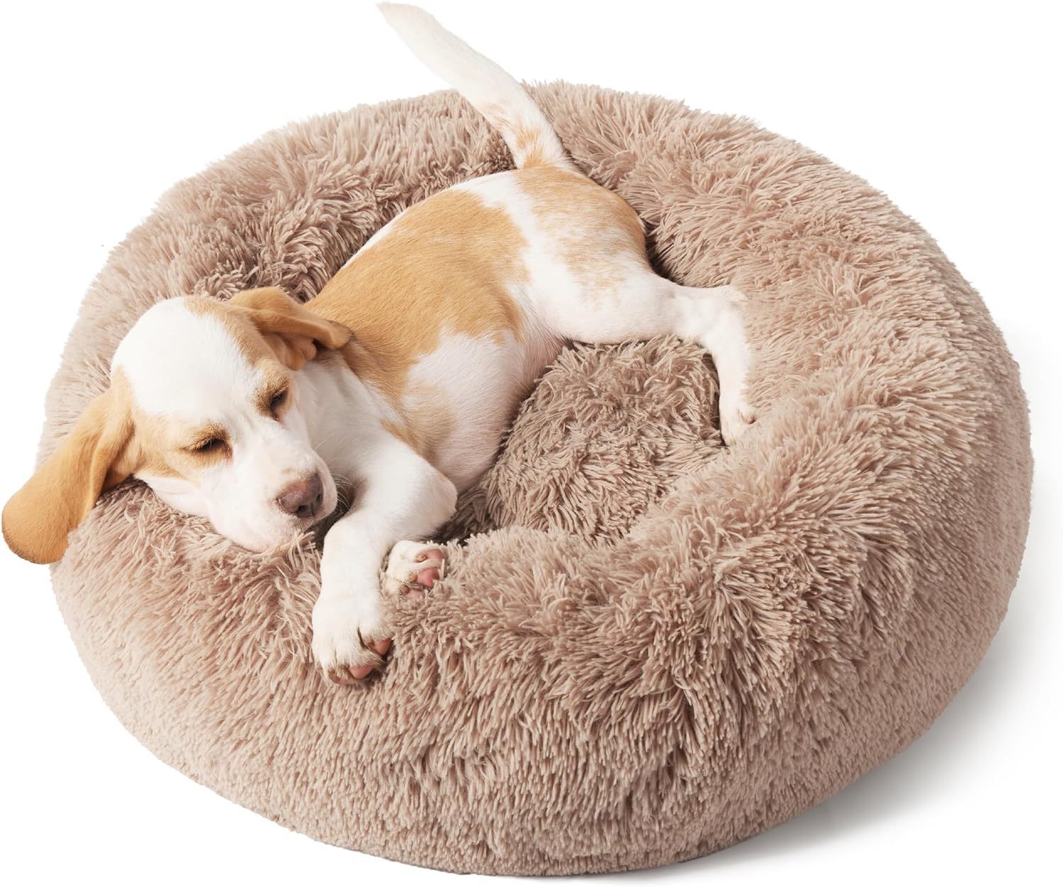 Indoor Solid Color Plush Pet Bed