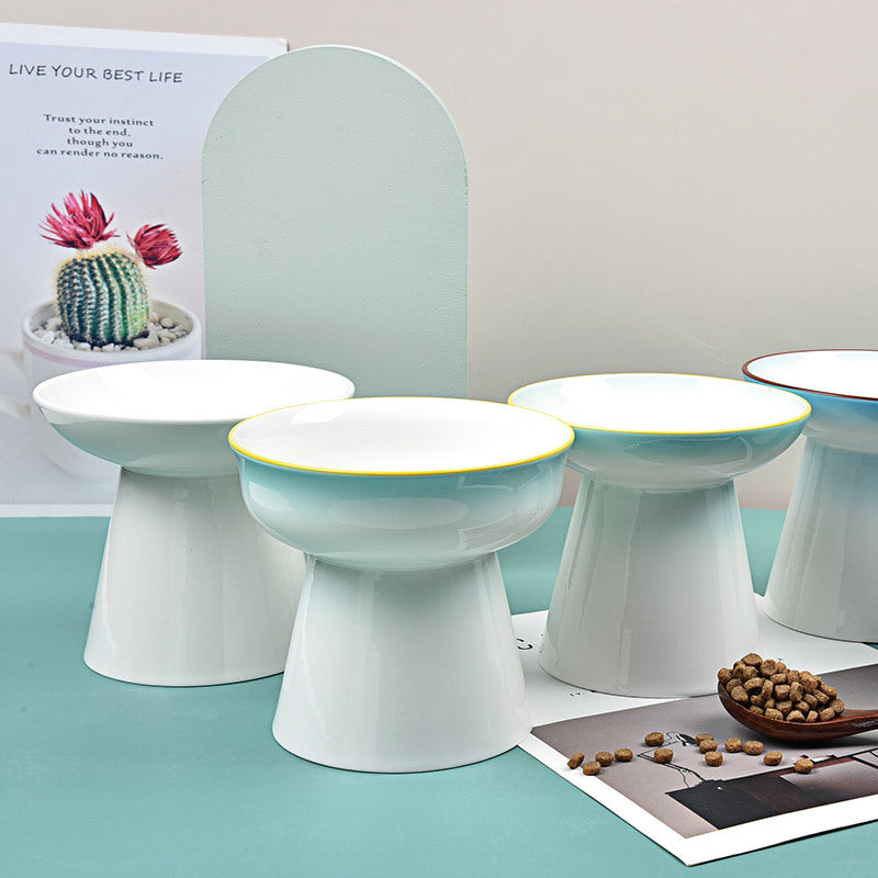 Cat Food Bowl Dog Bowl