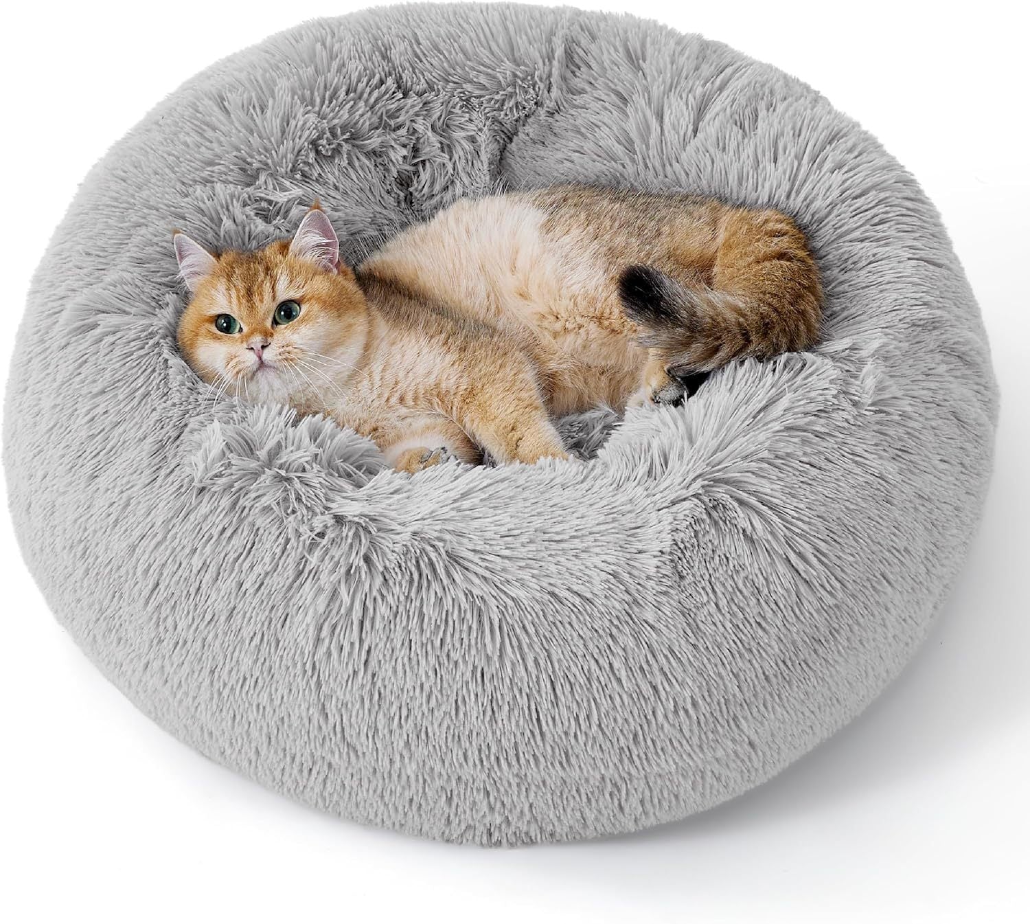 Indoor Solid Color Plush Pet Bed