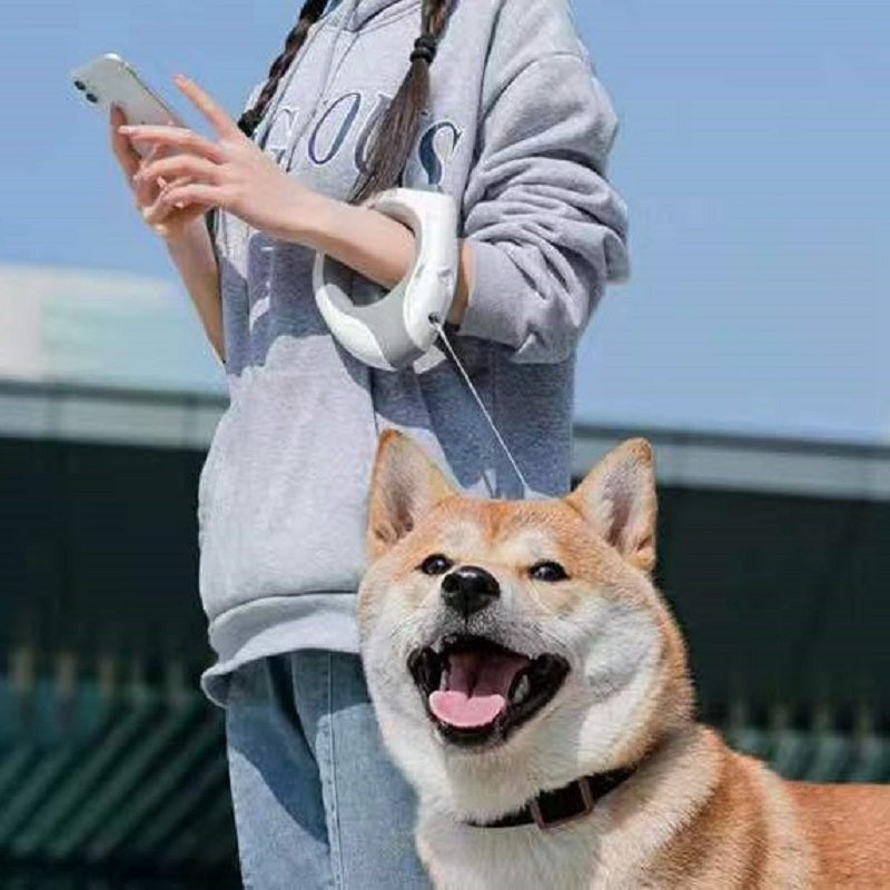 New Dog Traction Rope LED