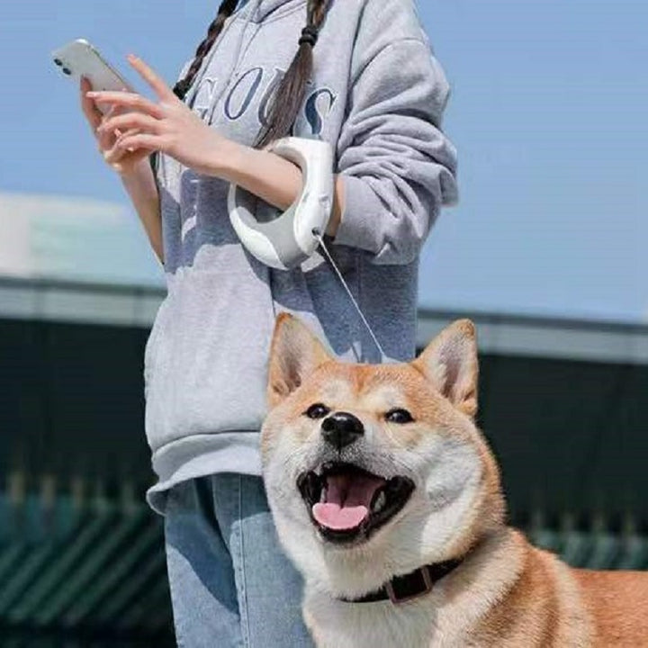 New Dog Traction Rope LED