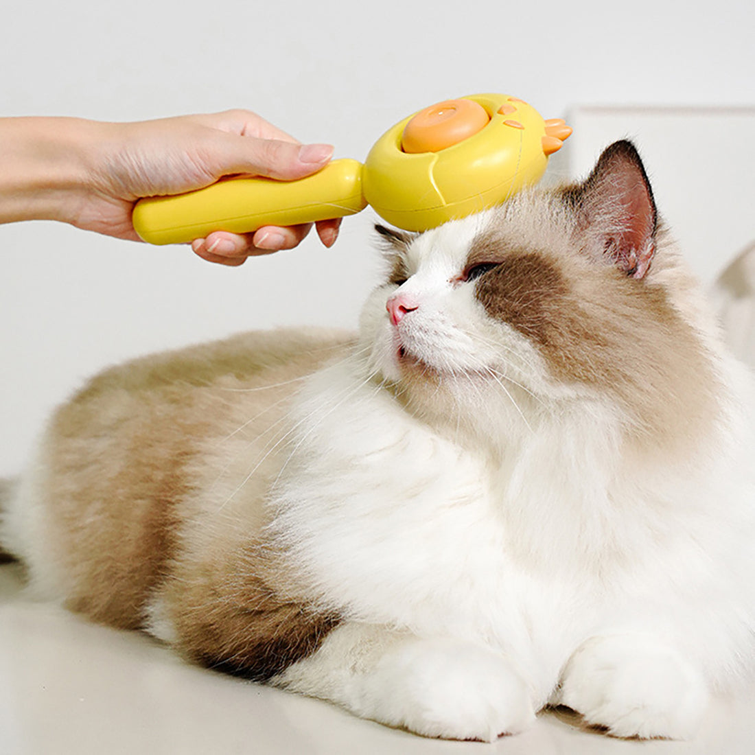 Magic Pet Hair Cleaner Brush