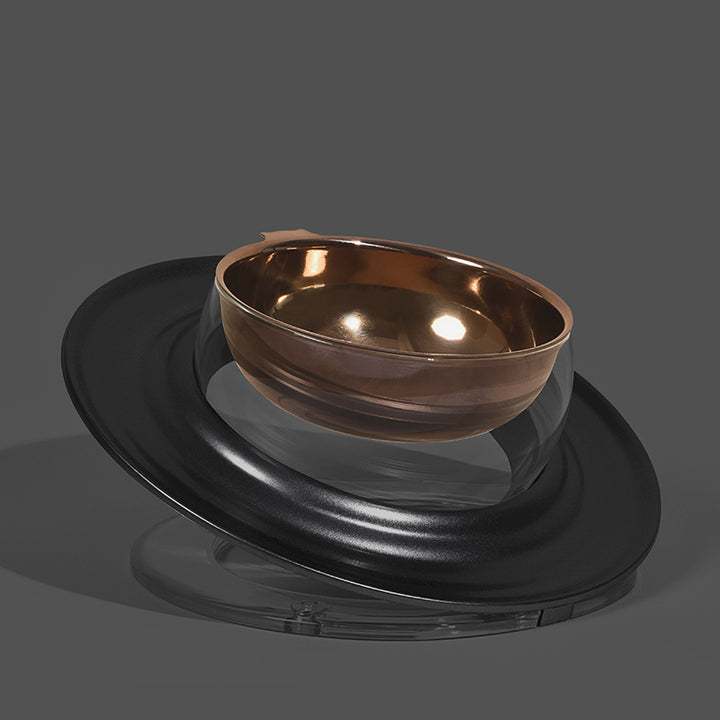 Cat Food Bowl