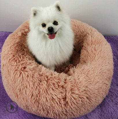 Dog Beds For Small Dogs