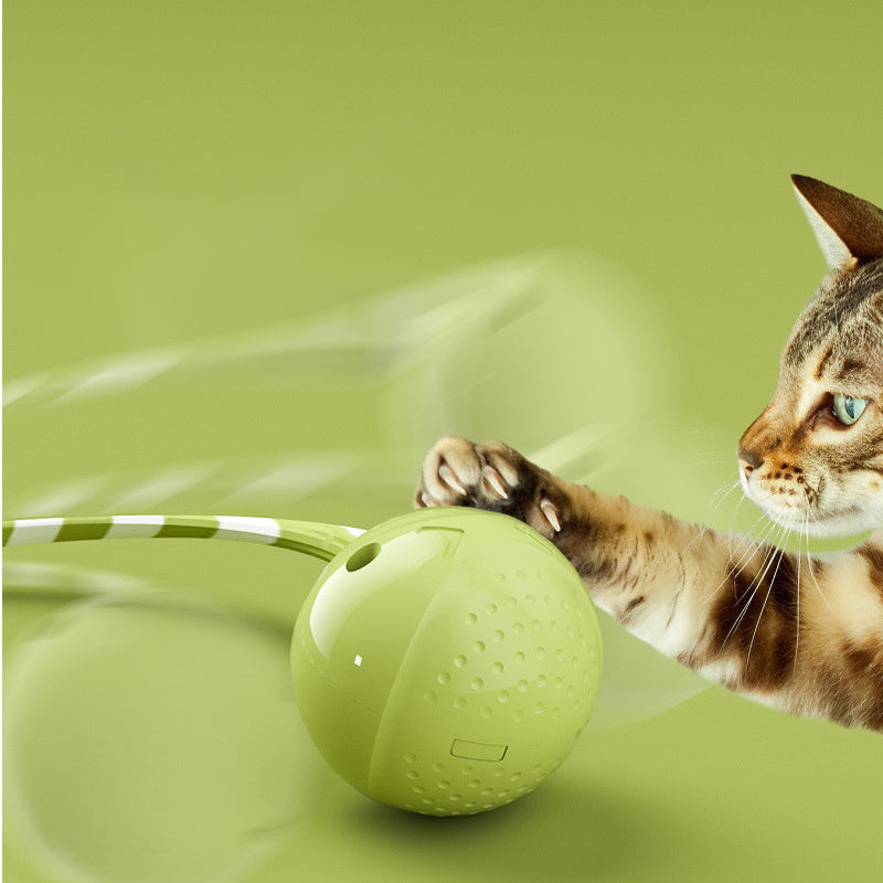 Cat Ball Toys Interactive Toy