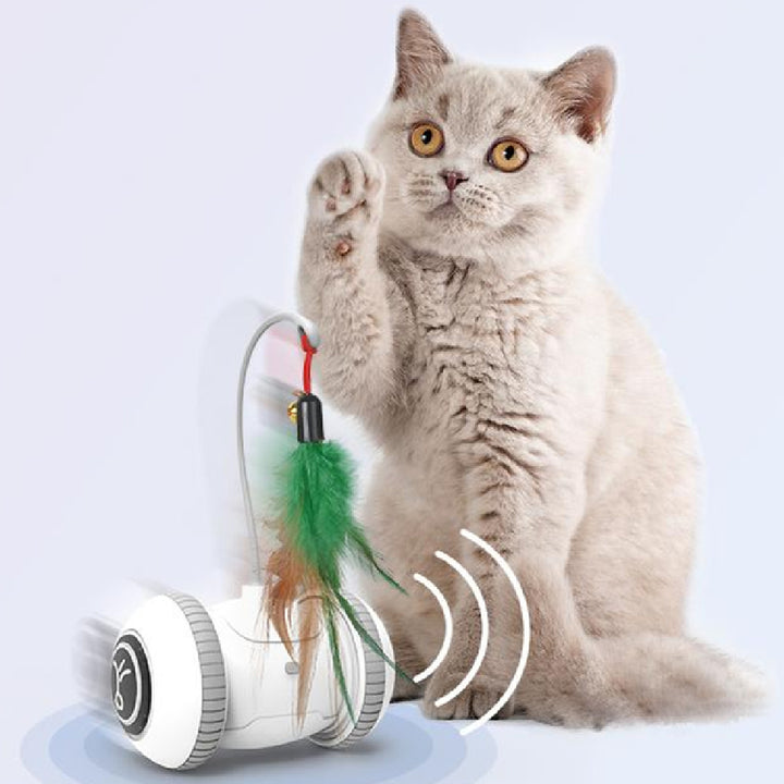Interactive Cat Toy Feather Toys